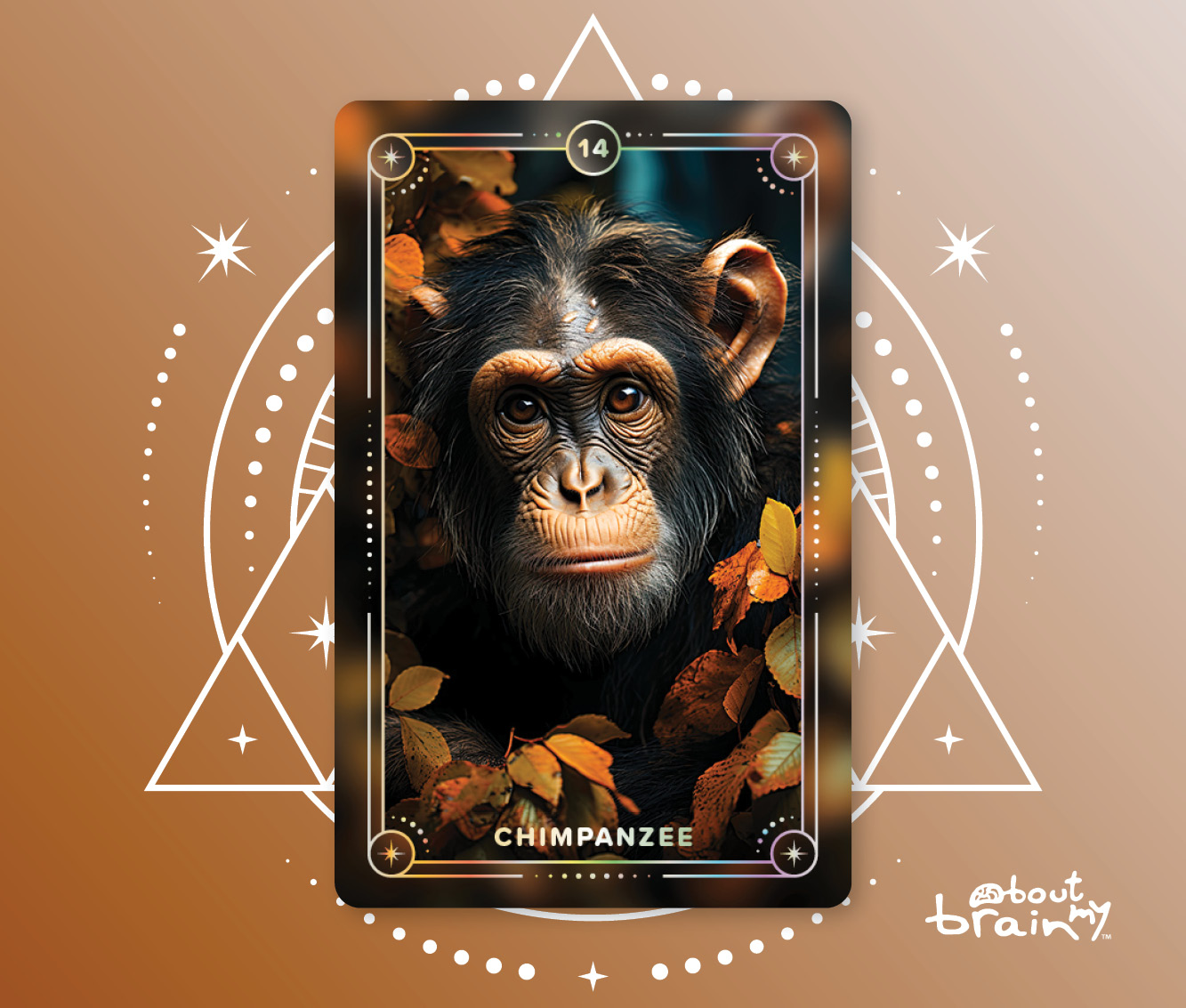 Banner Spirit Animals About My Brain Institute - Chimpanzee