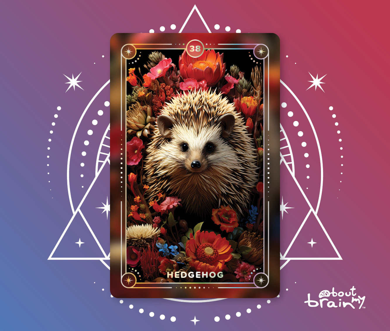Banner Spirit Animals About My Brain Institute - Hedgehog