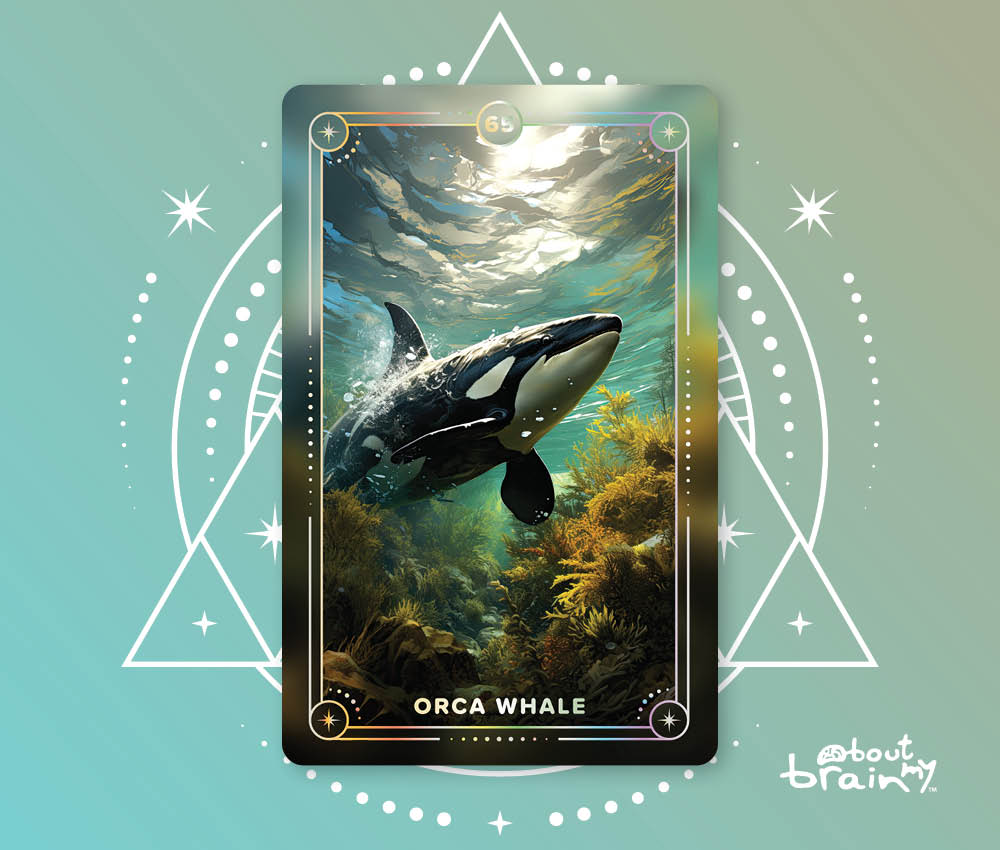 Banner Spirit Animals About My Brain Institute - Orca-Whale