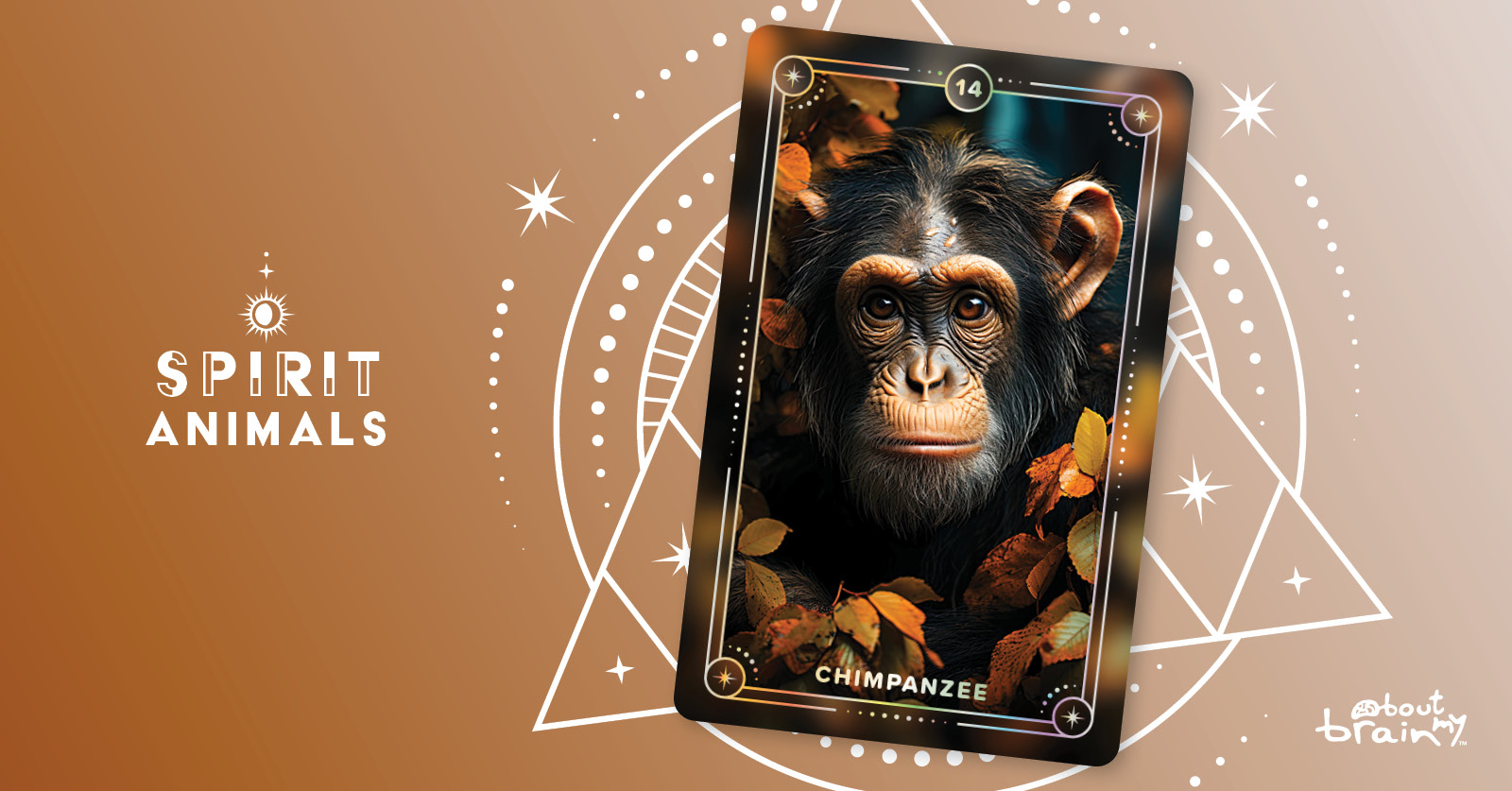 Chimpanzee | Meaning & Significance | Spirit Animals Oracle Deck