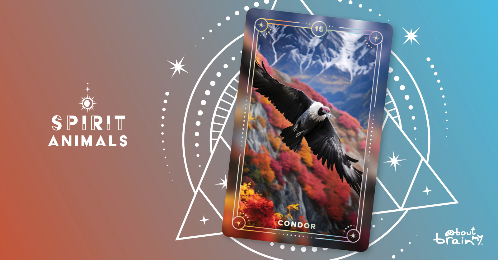 condor-meaning-significance-spirit-animals-oracle-deck