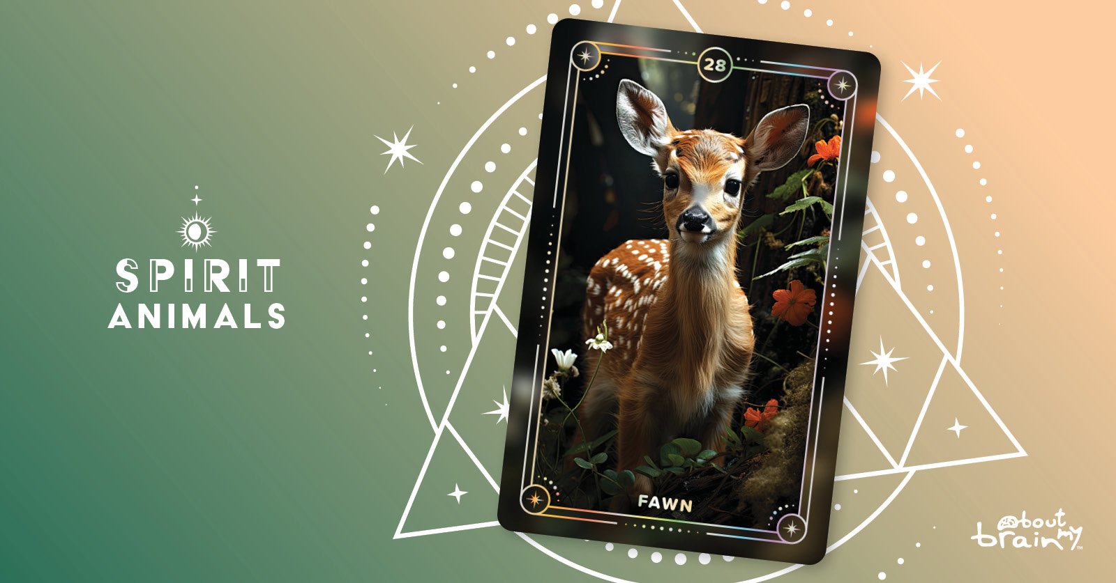 The Deer as Medicine Animals/ Spirit Guide
