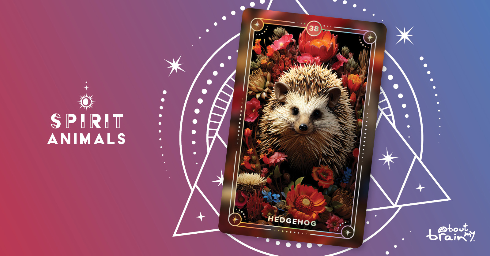 Hedgehog | Meaning & Significance | Spirit Animals Oracle Deck